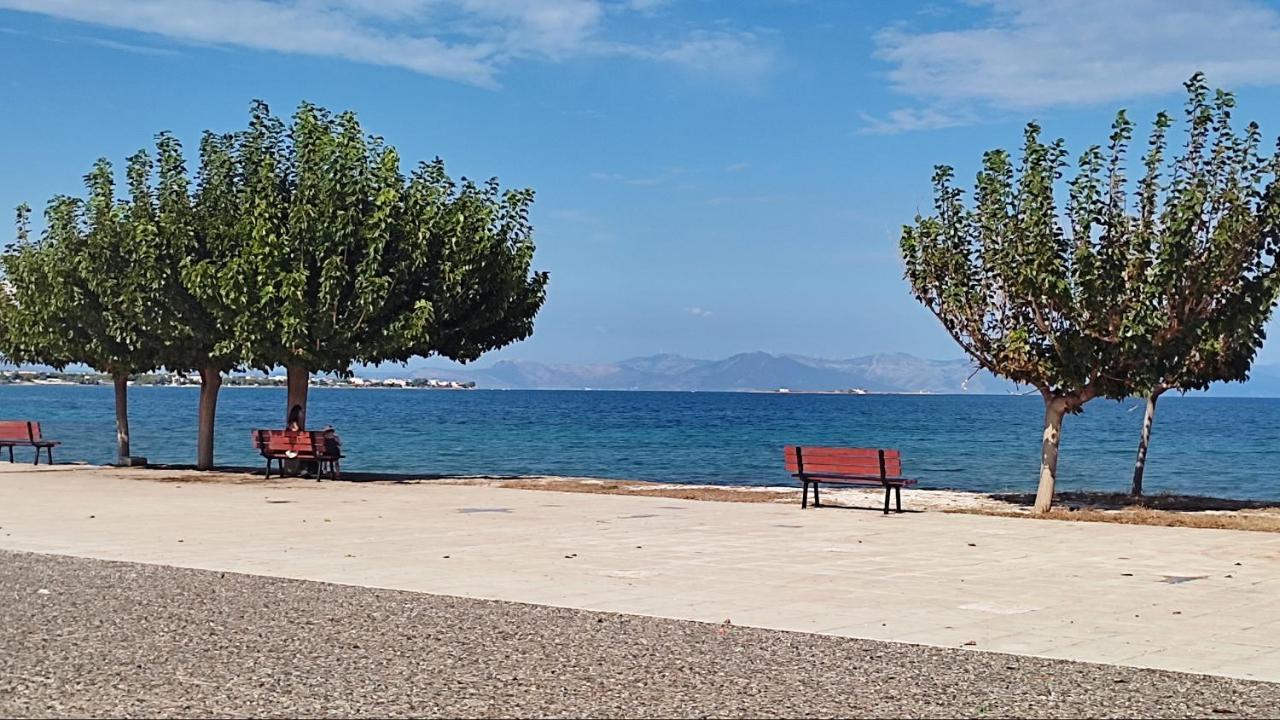 شقة Beautiful Choice - Near Athens Airport - 50M From The Sea - Iq+ أرتيميدا المظهر الخارجي الصورة